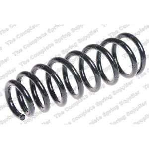 Coil Spring - Rear