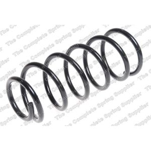 Coil Spring - Rear