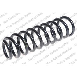 Coil Spring - Rear