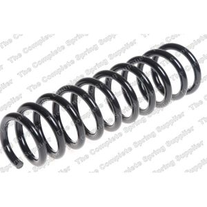 Coil Spring - Rear