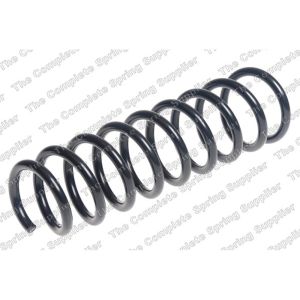 Coil Spring - Rear