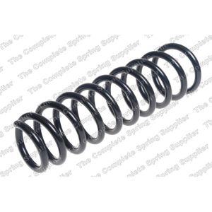 Coil Spring - Rear