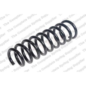 Coil Spring - Rear