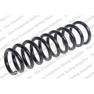 Coil Spring - Rear