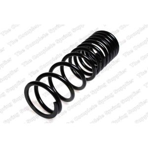 Coil Spring - Rear