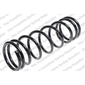 Coil Spring - Rear