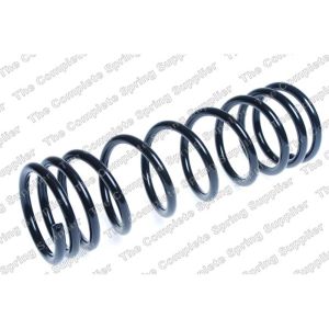 Coil Spring - Rear