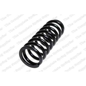 Coil Spring - Rear