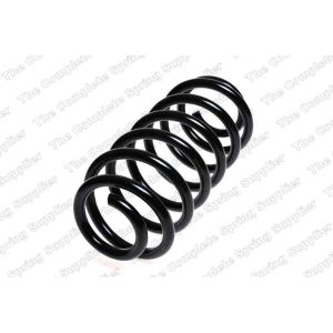 Coil Spring - Rear