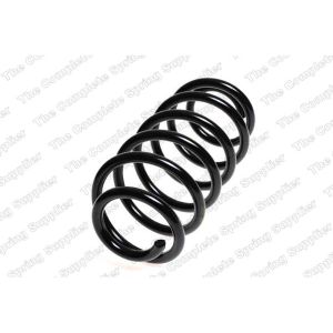 Coil Spring - Rear