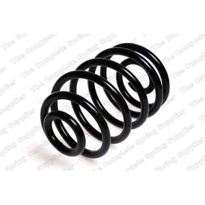 Coil Spring - Rear