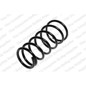 Coil Spring - Rear