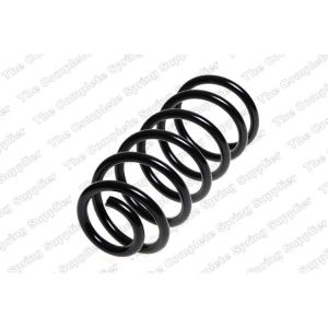 Coil Spring - Rear