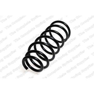 Coil Spring - Rear