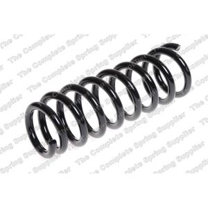 Coil Spring - Rear