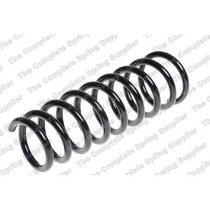 Coil Spring - Rear