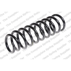 Coil Spring - Rear