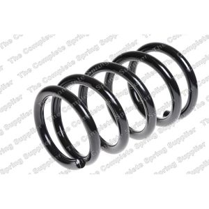 Coil Spring - Rear