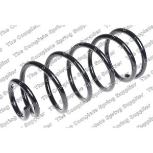 Coil Spring - Rear