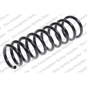 Coil Spring - Rear