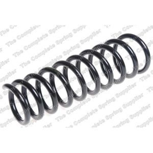 Coil Spring - Rear