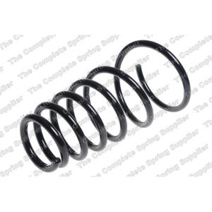 Coil Spring - Rear