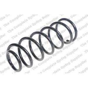 Coil Spring - Rear