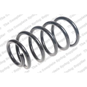 Coil Spring - Rear