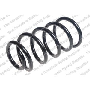 Coil Spring - Rear