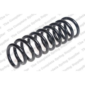 Coil Spring - Rear