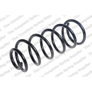 Coil Spring - Rear