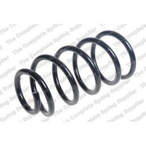 Coil Spring - Rear