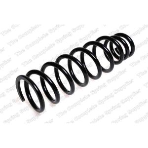 Coil Spring - Rear