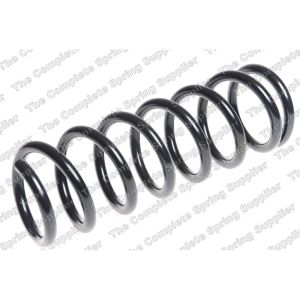 Coil Spring - Rear