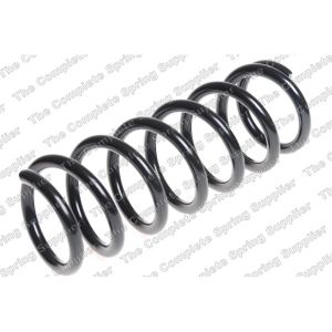 Coil Spring - Rear