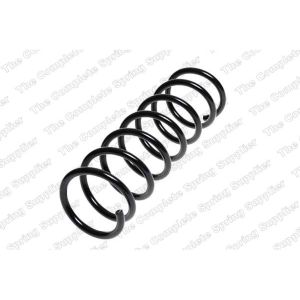 Coil Spring - Rear