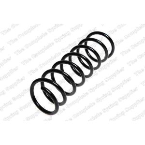 Coil Spring - Rear