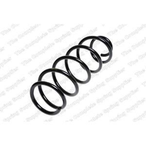 Coil Spring - Rear