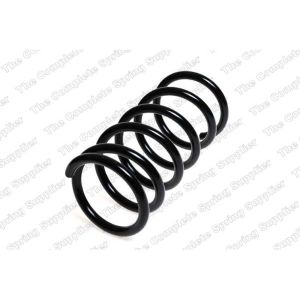 Coil Spring - Rear