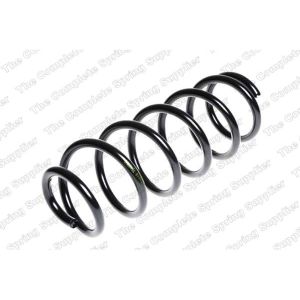 Coil Spring - Rear