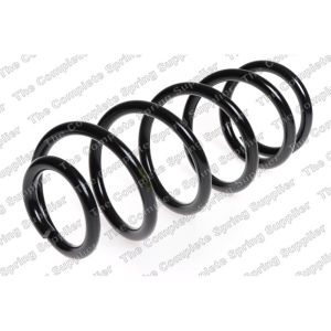 Coil Spring - Rear