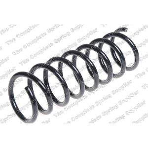 Coil Spring - Rear