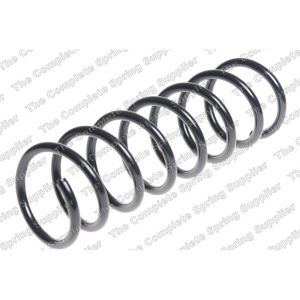 Coil Spring - Rear