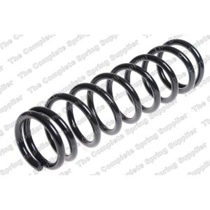 Coil Spring - Rear