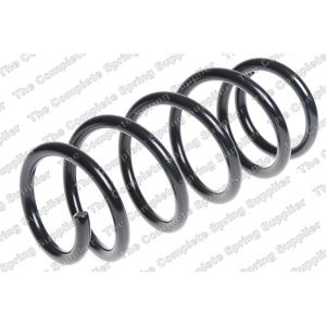 Coil Spring - Rear