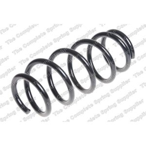 Coil Spring - Rear