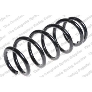 Coil Spring - Rear