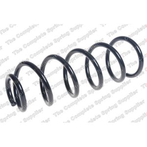 Coil Spring - Rear