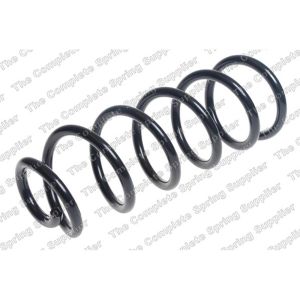 Coil Spring - Rear