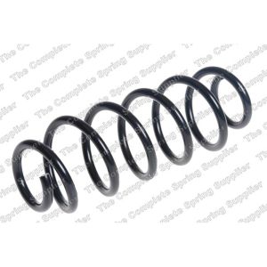 Coil Spring - Rear